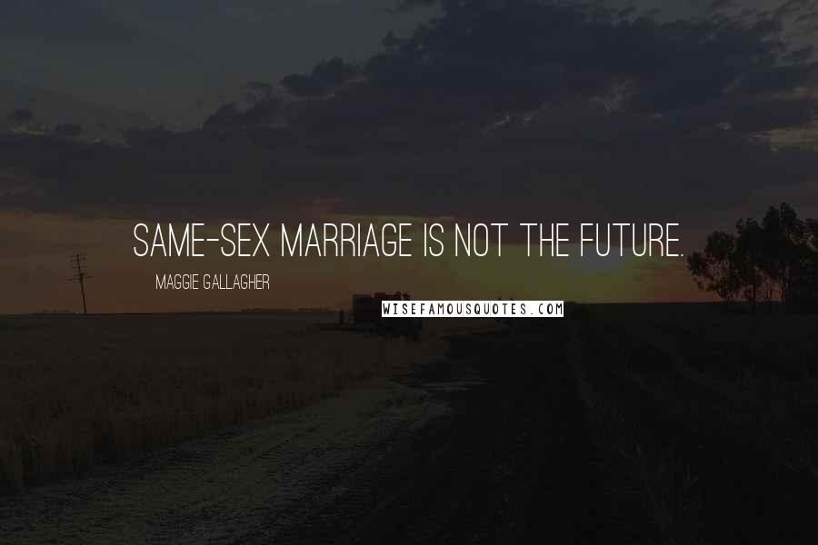 Maggie Gallagher Quotes: Same-sex marriage is not the future.