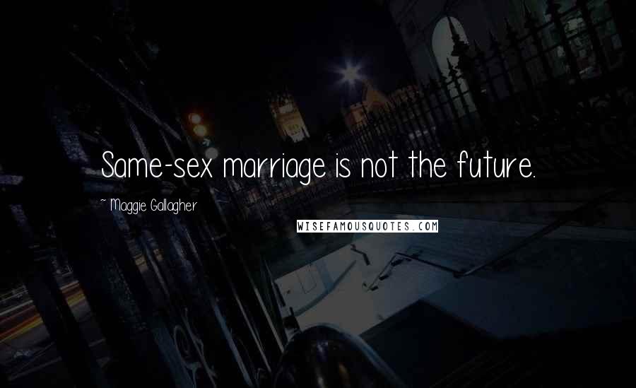 Maggie Gallagher Quotes: Same-sex marriage is not the future.