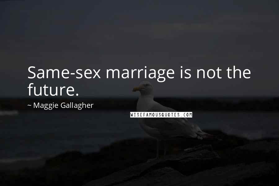 Maggie Gallagher Quotes: Same-sex marriage is not the future.