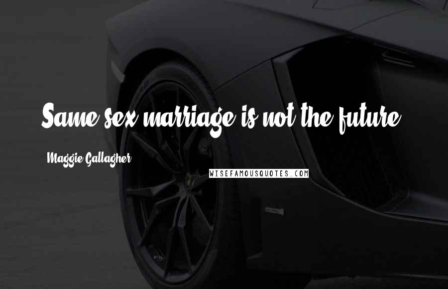 Maggie Gallagher Quotes: Same-sex marriage is not the future.