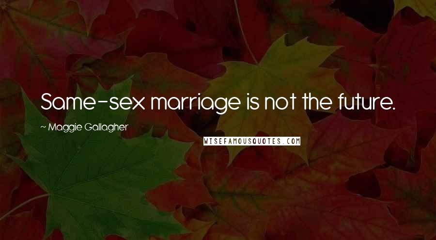 Maggie Gallagher Quotes: Same-sex marriage is not the future.