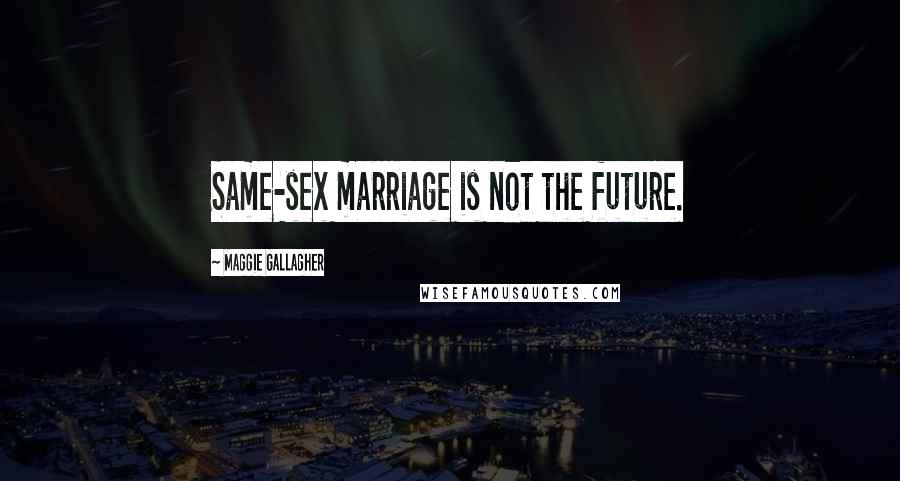 Maggie Gallagher Quotes: Same-sex marriage is not the future.