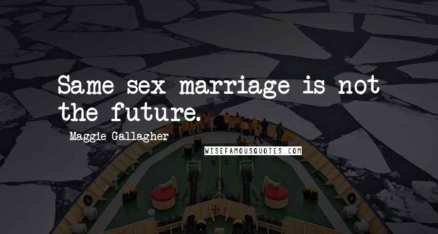 Maggie Gallagher Quotes: Same-sex marriage is not the future.