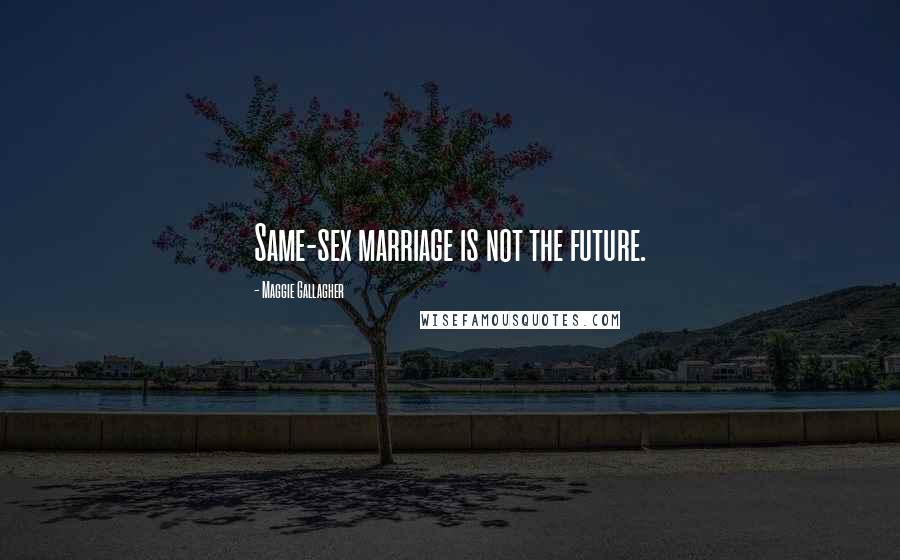 Maggie Gallagher Quotes: Same-sex marriage is not the future.