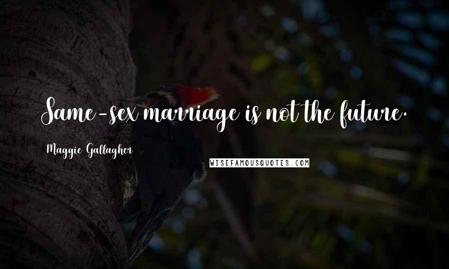 Maggie Gallagher Quotes: Same-sex marriage is not the future.