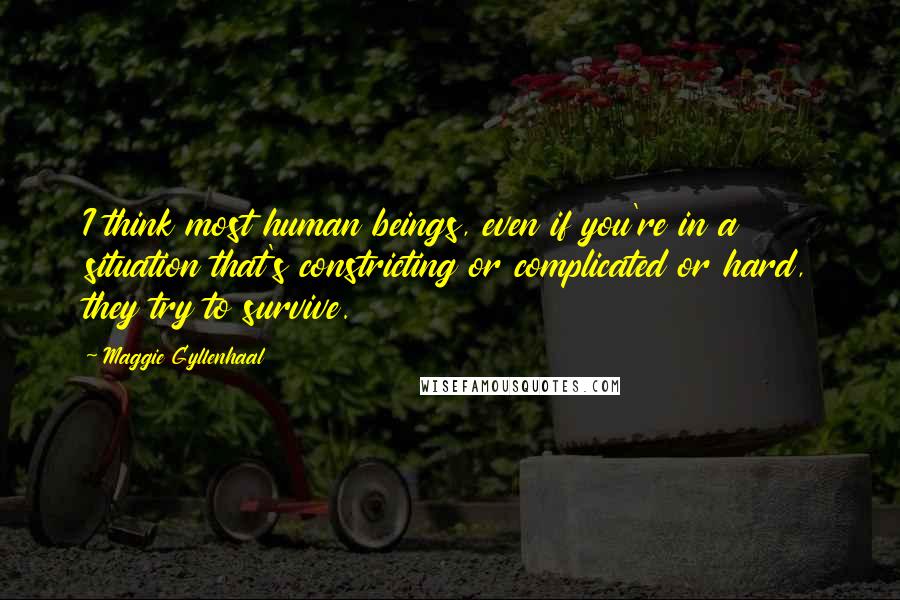 Maggie Gyllenhaal Quotes: I think most human beings, even if you're in a situation that's constricting or complicated or hard, they try to survive.