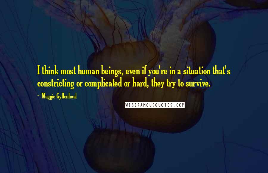 Maggie Gyllenhaal Quotes: I think most human beings, even if you're in a situation that's constricting or complicated or hard, they try to survive.