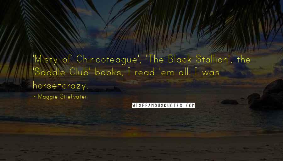 Maggie Stiefvater Quotes: 'Misty of Chincoteague', 'The Black Stallion', the 'Saddle Club' books, I read 'em all. I was horse-crazy.