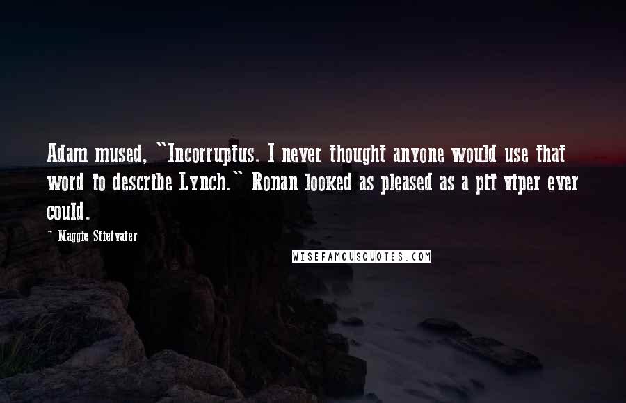 Maggie Stiefvater Quotes: Adam mused, "Incorruptus. I never thought anyone would use that word to describe Lynch." Ronan looked as pleased as a pit viper ever could.