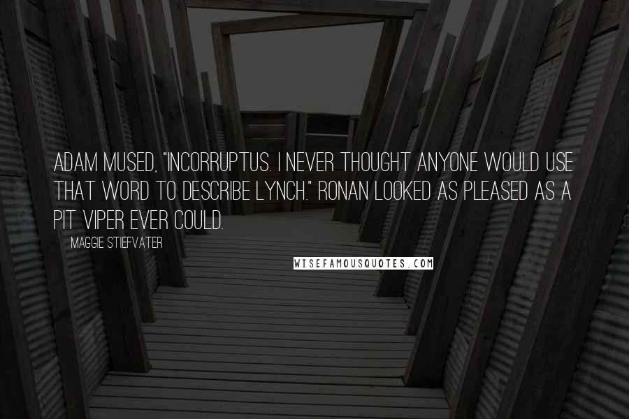 Maggie Stiefvater Quotes: Adam mused, "Incorruptus. I never thought anyone would use that word to describe Lynch." Ronan looked as pleased as a pit viper ever could.