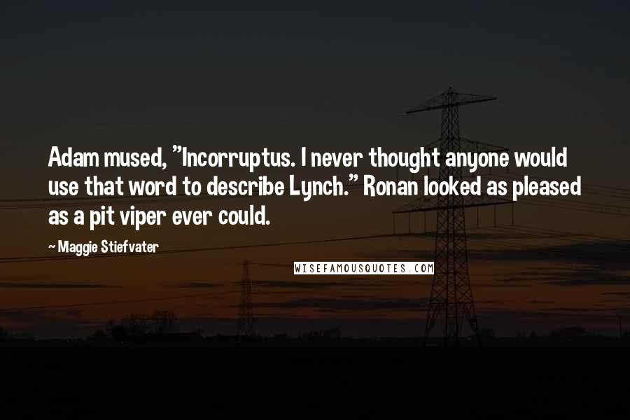 Maggie Stiefvater Quotes: Adam mused, "Incorruptus. I never thought anyone would use that word to describe Lynch." Ronan looked as pleased as a pit viper ever could.