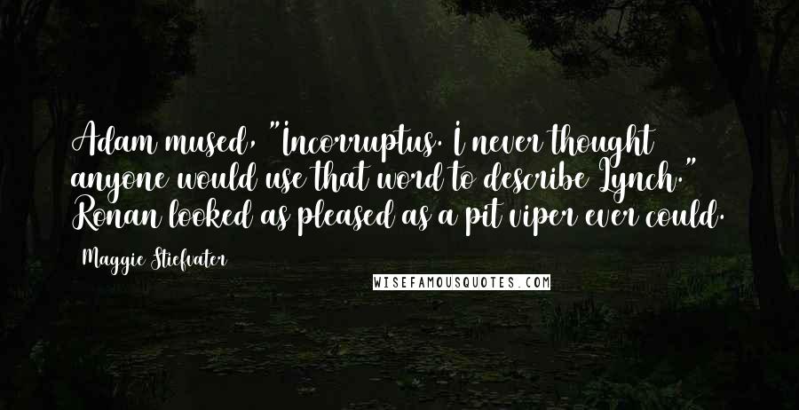 Maggie Stiefvater Quotes: Adam mused, "Incorruptus. I never thought anyone would use that word to describe Lynch." Ronan looked as pleased as a pit viper ever could.