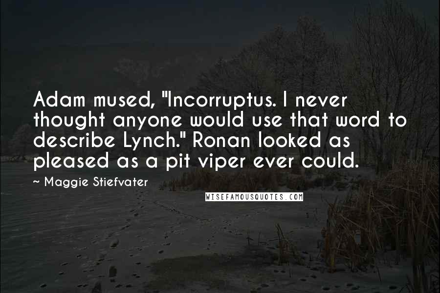 Maggie Stiefvater Quotes: Adam mused, "Incorruptus. I never thought anyone would use that word to describe Lynch." Ronan looked as pleased as a pit viper ever could.