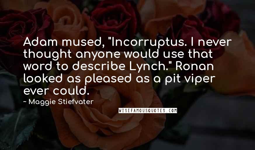 Maggie Stiefvater Quotes: Adam mused, "Incorruptus. I never thought anyone would use that word to describe Lynch." Ronan looked as pleased as a pit viper ever could.