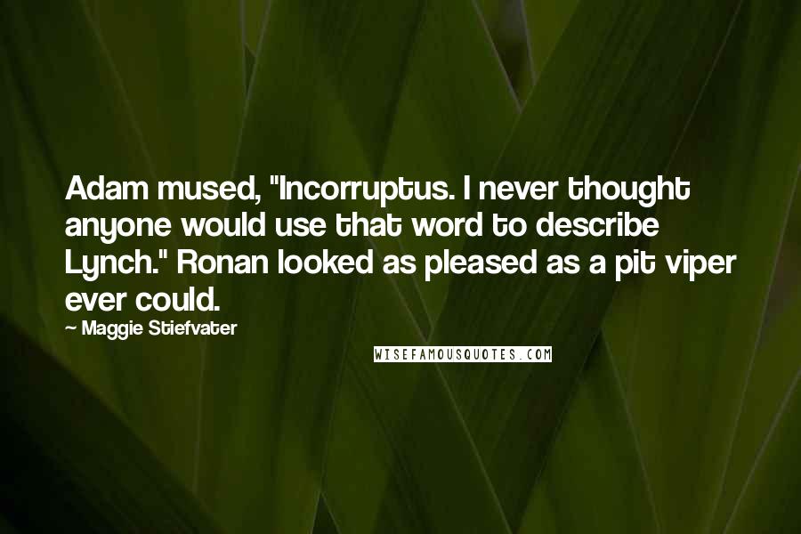 Maggie Stiefvater Quotes: Adam mused, "Incorruptus. I never thought anyone would use that word to describe Lynch." Ronan looked as pleased as a pit viper ever could.