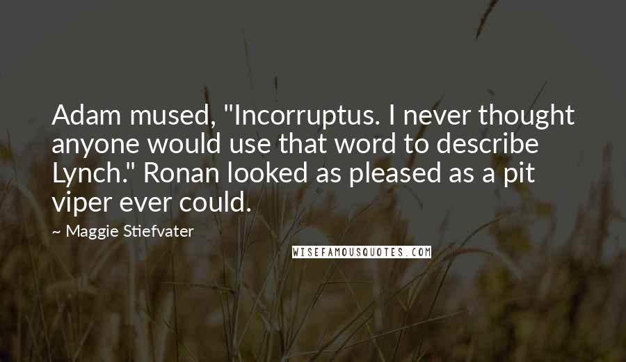 Maggie Stiefvater Quotes: Adam mused, "Incorruptus. I never thought anyone would use that word to describe Lynch." Ronan looked as pleased as a pit viper ever could.