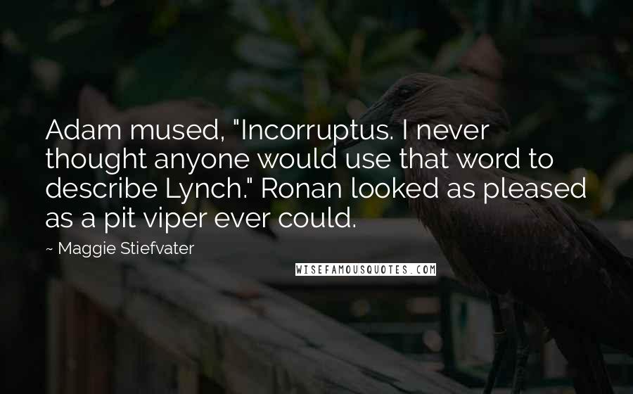 Maggie Stiefvater Quotes: Adam mused, "Incorruptus. I never thought anyone would use that word to describe Lynch." Ronan looked as pleased as a pit viper ever could.