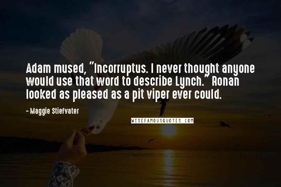 Maggie Stiefvater Quotes: Adam mused, "Incorruptus. I never thought anyone would use that word to describe Lynch." Ronan looked as pleased as a pit viper ever could.