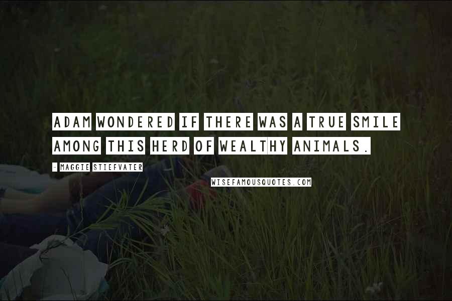 Maggie Stiefvater Quotes: Adam wondered if there was a true smile among this herd of wealthy animals.