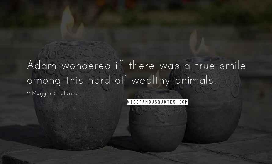 Maggie Stiefvater Quotes: Adam wondered if there was a true smile among this herd of wealthy animals.