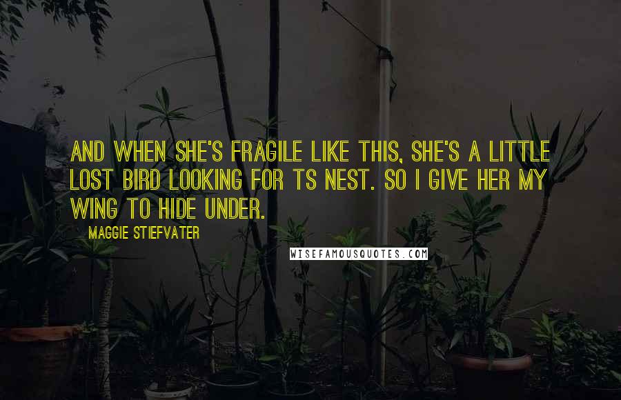 Maggie Stiefvater Quotes: And when she's fragile like this, she's a little lost bird looking for ts nest. So i give her my wing to hide under.