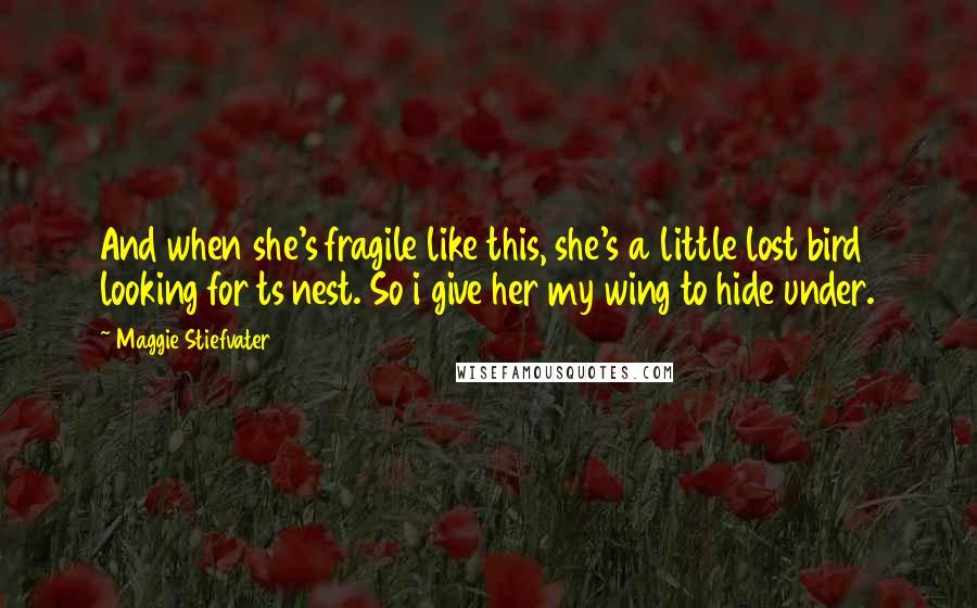 Maggie Stiefvater Quotes: And when she's fragile like this, she's a little lost bird looking for ts nest. So i give her my wing to hide under.