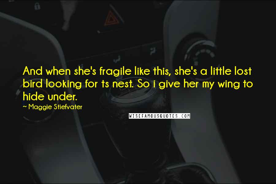 Maggie Stiefvater Quotes: And when she's fragile like this, she's a little lost bird looking for ts nest. So i give her my wing to hide under.