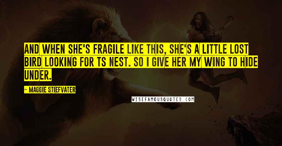 Maggie Stiefvater Quotes: And when she's fragile like this, she's a little lost bird looking for ts nest. So i give her my wing to hide under.