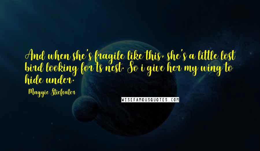 Maggie Stiefvater Quotes: And when she's fragile like this, she's a little lost bird looking for ts nest. So i give her my wing to hide under.