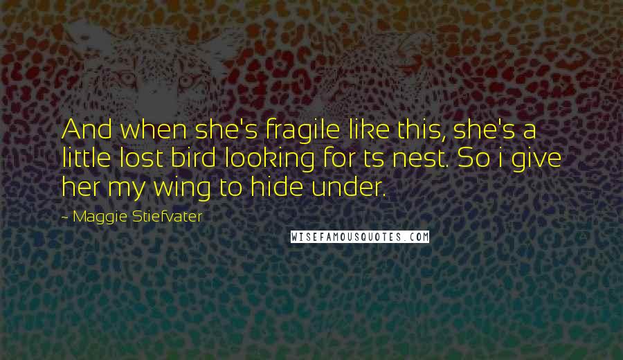 Maggie Stiefvater Quotes: And when she's fragile like this, she's a little lost bird looking for ts nest. So i give her my wing to hide under.