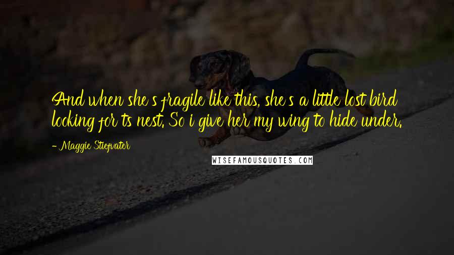 Maggie Stiefvater Quotes: And when she's fragile like this, she's a little lost bird looking for ts nest. So i give her my wing to hide under.