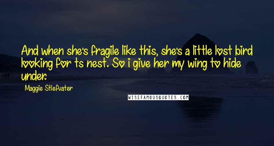 Maggie Stiefvater Quotes: And when she's fragile like this, she's a little lost bird looking for ts nest. So i give her my wing to hide under.