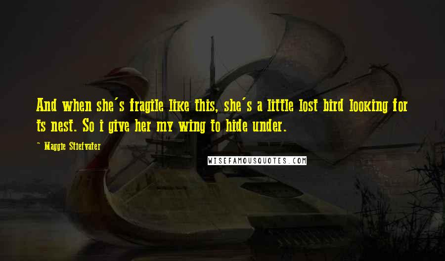 Maggie Stiefvater Quotes: And when she's fragile like this, she's a little lost bird looking for ts nest. So i give her my wing to hide under.