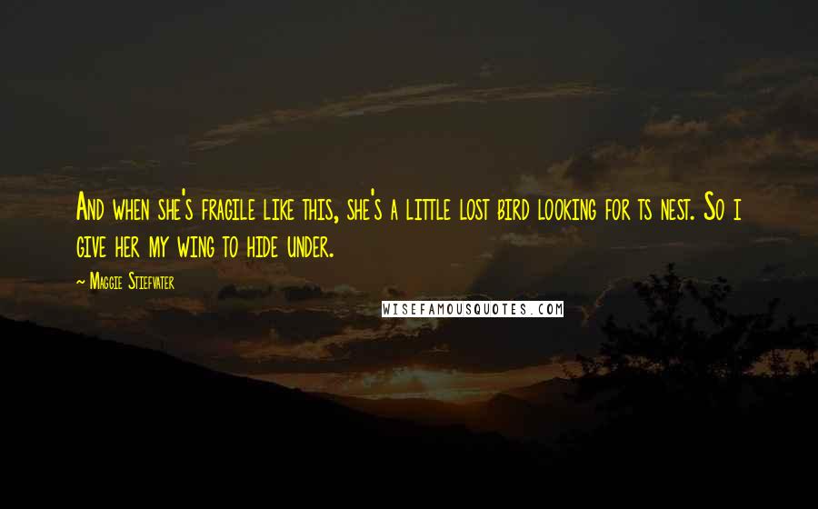 Maggie Stiefvater Quotes: And when she's fragile like this, she's a little lost bird looking for ts nest. So i give her my wing to hide under.