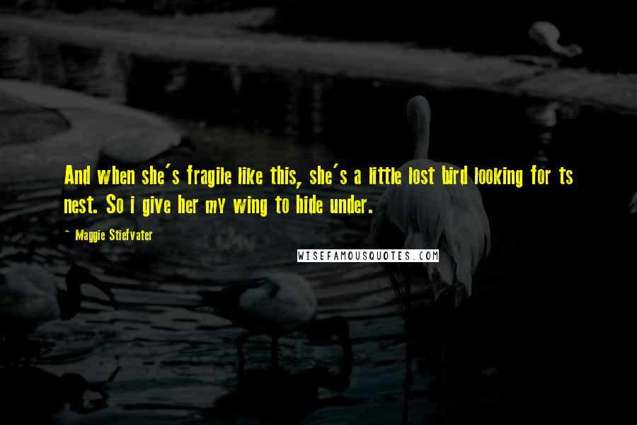 Maggie Stiefvater Quotes: And when she's fragile like this, she's a little lost bird looking for ts nest. So i give her my wing to hide under.