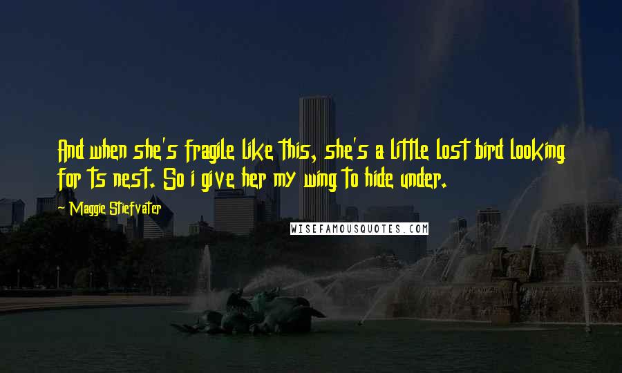 Maggie Stiefvater Quotes: And when she's fragile like this, she's a little lost bird looking for ts nest. So i give her my wing to hide under.