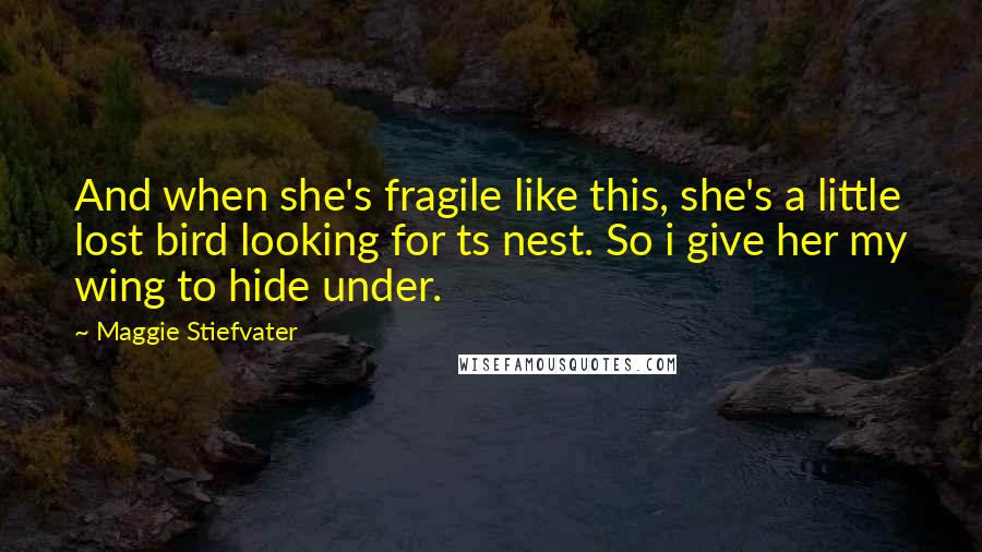 Maggie Stiefvater Quotes: And when she's fragile like this, she's a little lost bird looking for ts nest. So i give her my wing to hide under.