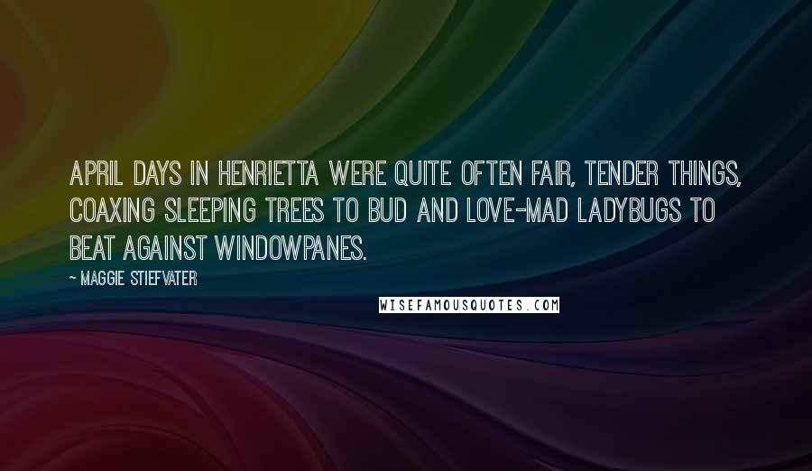 Maggie Stiefvater Quotes: April days in Henrietta were quite often fair, tender things, coaxing sleeping trees to bud and love-mad ladybugs to beat against windowpanes.