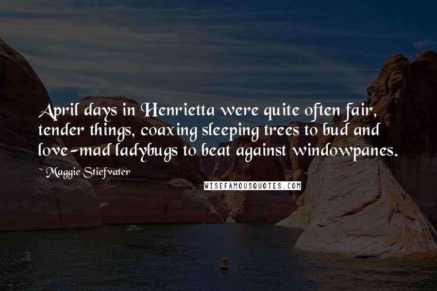Maggie Stiefvater Quotes: April days in Henrietta were quite often fair, tender things, coaxing sleeping trees to bud and love-mad ladybugs to beat against windowpanes.