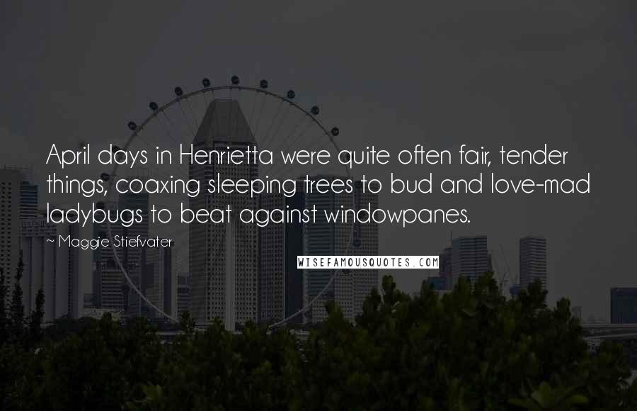 Maggie Stiefvater Quotes: April days in Henrietta were quite often fair, tender things, coaxing sleeping trees to bud and love-mad ladybugs to beat against windowpanes.