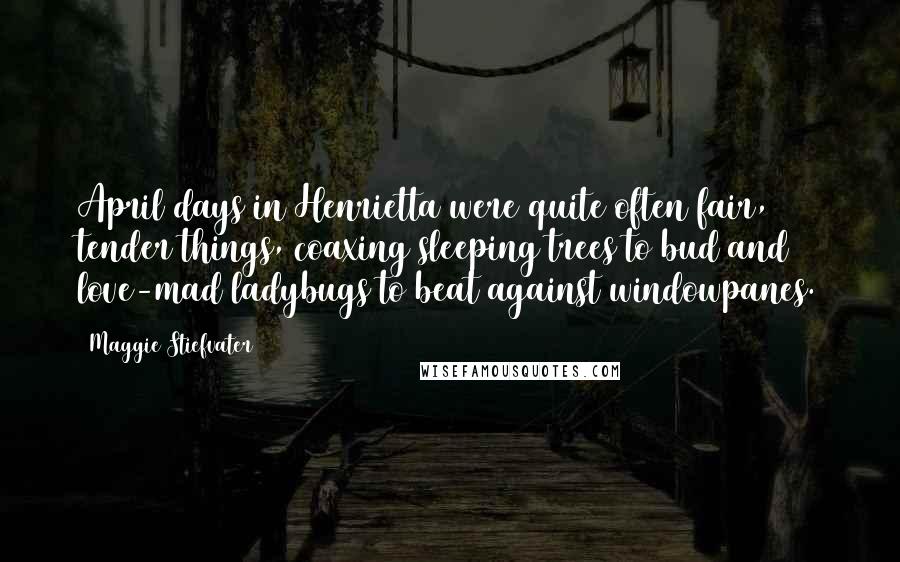 Maggie Stiefvater Quotes: April days in Henrietta were quite often fair, tender things, coaxing sleeping trees to bud and love-mad ladybugs to beat against windowpanes.