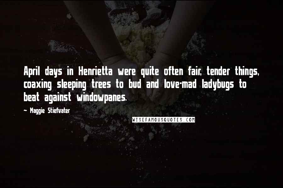 Maggie Stiefvater Quotes: April days in Henrietta were quite often fair, tender things, coaxing sleeping trees to bud and love-mad ladybugs to beat against windowpanes.
