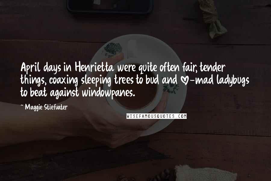 Maggie Stiefvater Quotes: April days in Henrietta were quite often fair, tender things, coaxing sleeping trees to bud and love-mad ladybugs to beat against windowpanes.