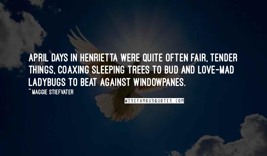 Maggie Stiefvater Quotes: April days in Henrietta were quite often fair, tender things, coaxing sleeping trees to bud and love-mad ladybugs to beat against windowpanes.