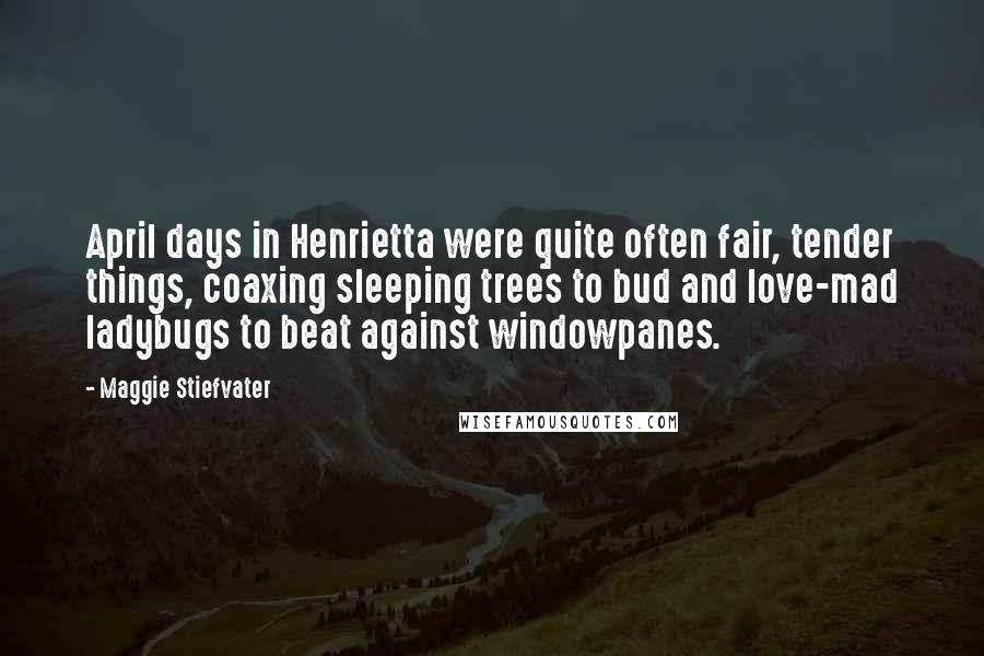 Maggie Stiefvater Quotes: April days in Henrietta were quite often fair, tender things, coaxing sleeping trees to bud and love-mad ladybugs to beat against windowpanes.