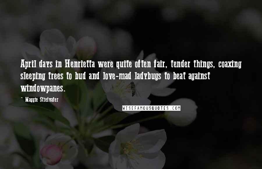 Maggie Stiefvater Quotes: April days in Henrietta were quite often fair, tender things, coaxing sleeping trees to bud and love-mad ladybugs to beat against windowpanes.