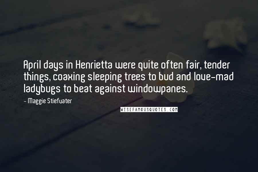 Maggie Stiefvater Quotes: April days in Henrietta were quite often fair, tender things, coaxing sleeping trees to bud and love-mad ladybugs to beat against windowpanes.