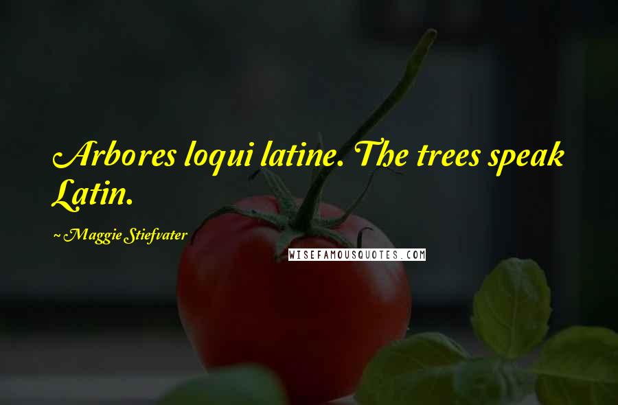 Maggie Stiefvater Quotes: Arbores loqui latine. The trees speak Latin.