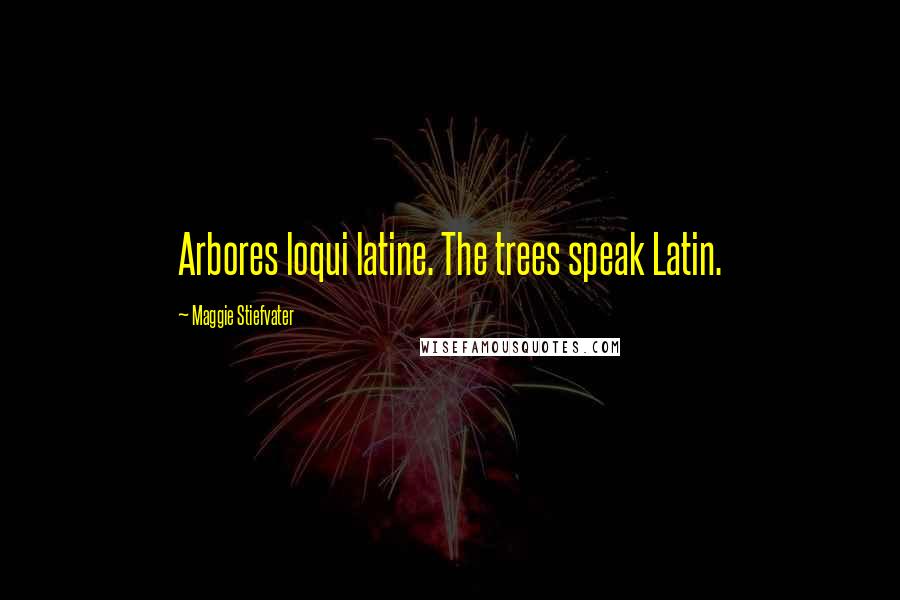 Maggie Stiefvater Quotes: Arbores loqui latine. The trees speak Latin.