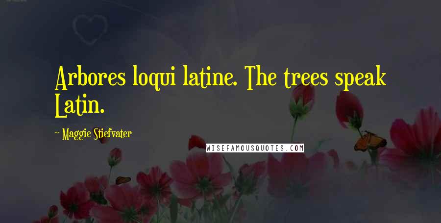 Maggie Stiefvater Quotes: Arbores loqui latine. The trees speak Latin.